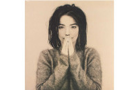 Виниловые пластинки Bjork - Debut [LP]