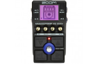  Zoom MS-80IR+