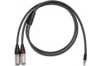 Аксессуары  для плееров Astell&Kern PEE41