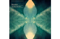 Виниловые пластинки Bonobo - The North Borders [2LP]