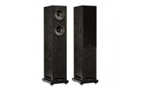 Акустика Hi-Fi Fyne Audio F501E Black