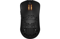 Компьютерные мыши HATOR Stellar Wireless Black (HTM650)
