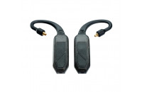 Аксессуары для наушников iFi GO Pod Air Black