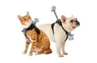 Insta360 Pet Harness Mount Size S (CINSBAVX)
