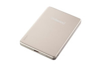 Портативні батареї (павербанки) Intenso MW10000 MagSafe 10000mAh PD 20W, Qi 15W Champagne (7344031)