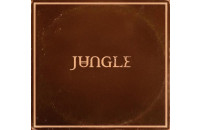 Вінілові платівки Jungle - Sunshine [LP]