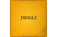 Виниловые пластинки Jungle - For Ever [LP]