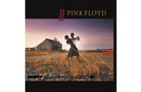 Виниловые пластинки Pink Floyd - A Collection Of Great Dance Songs [LP]