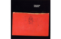 Виниловые пластинки Radiohead - Amnesiac [2LP]